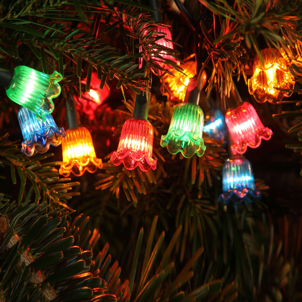 80 LED Canterbury Bell Multi Coloured LED Christmas Lights