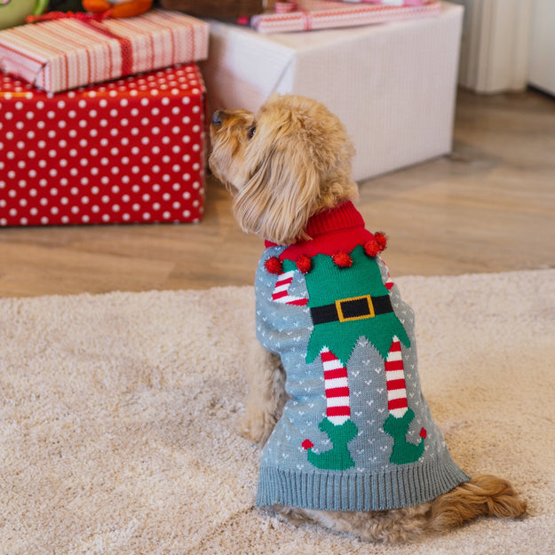 Merry Elf Dog Christmas Jumper 45cm